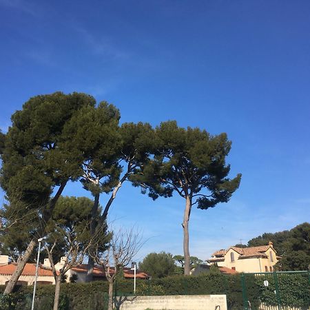 Studio Cosy Proche Mer Saint-Cyr-sur-Mer Exterior photo