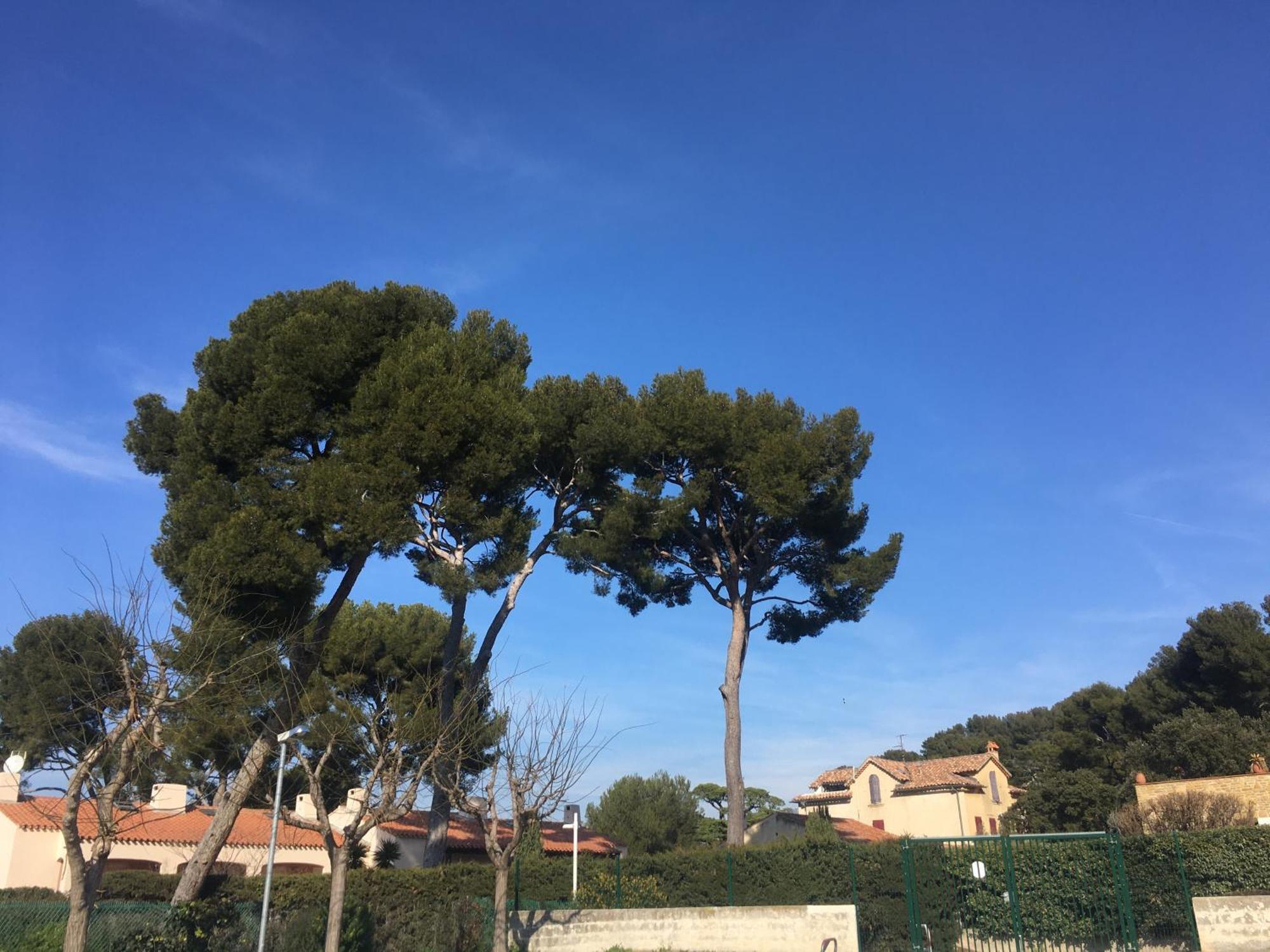 Studio Cosy Proche Mer Saint-Cyr-sur-Mer Exterior photo