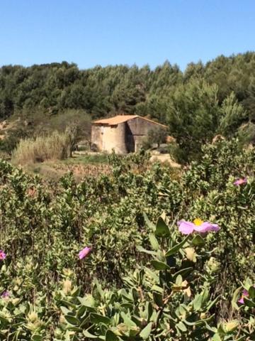 Studio Cosy Proche Mer Saint-Cyr-sur-Mer Exterior photo